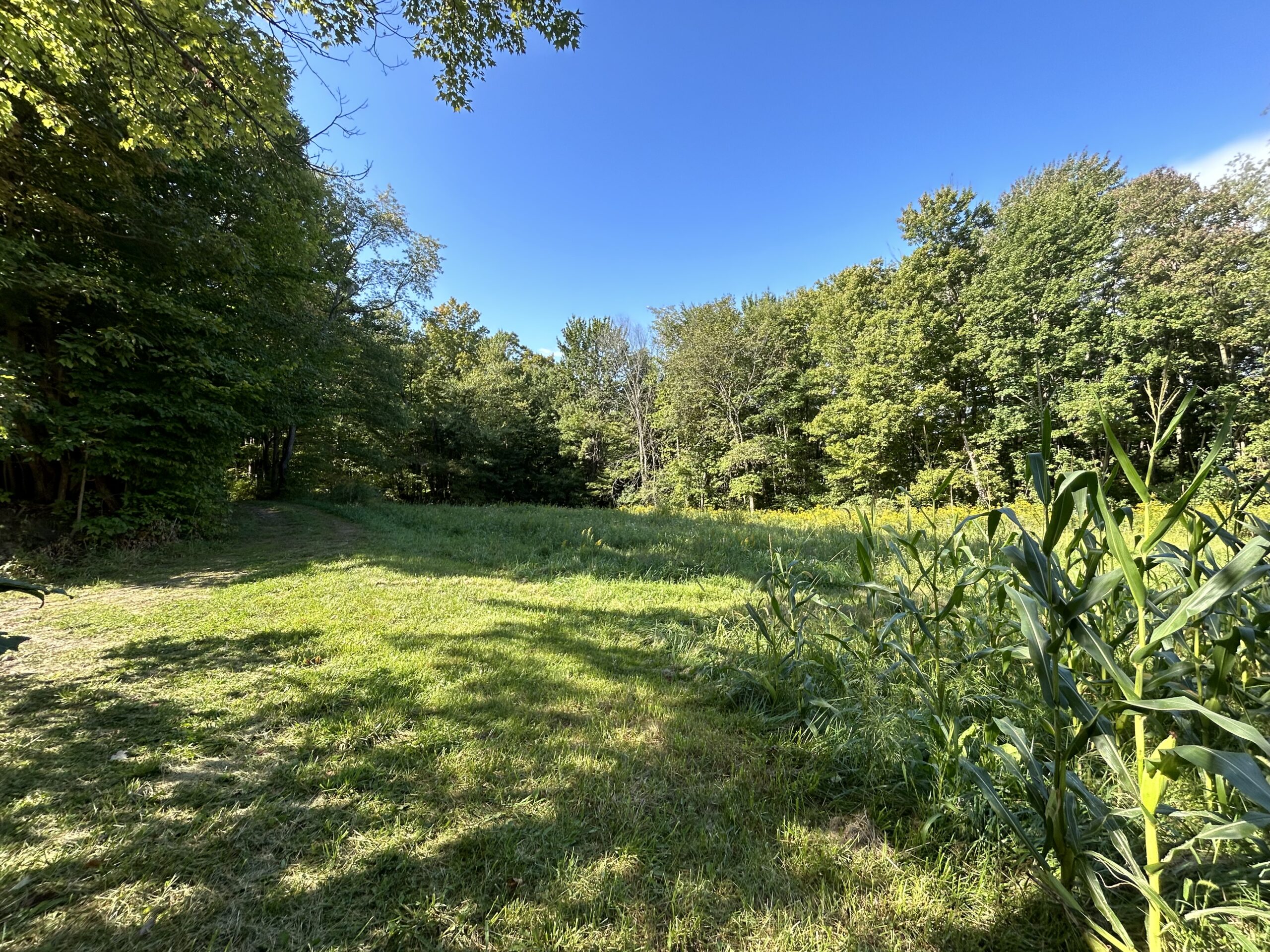 Murray Land Auction Gant Realty