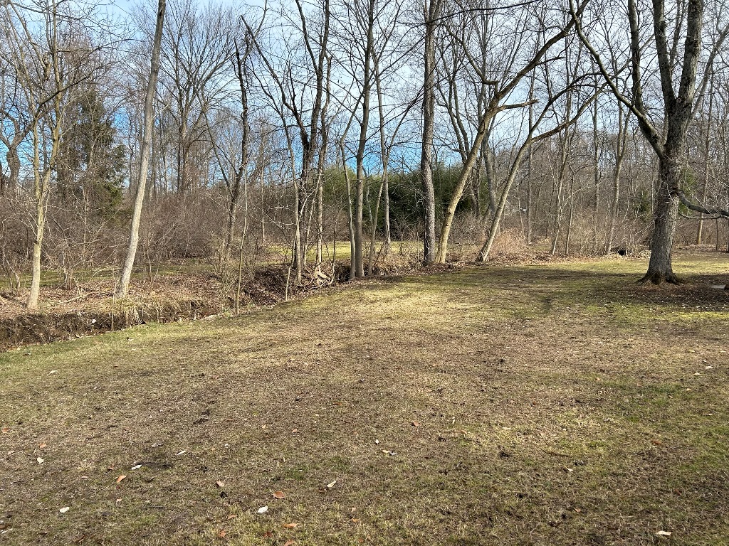 Kopp Absolute Real Estate Auction Gant Realty