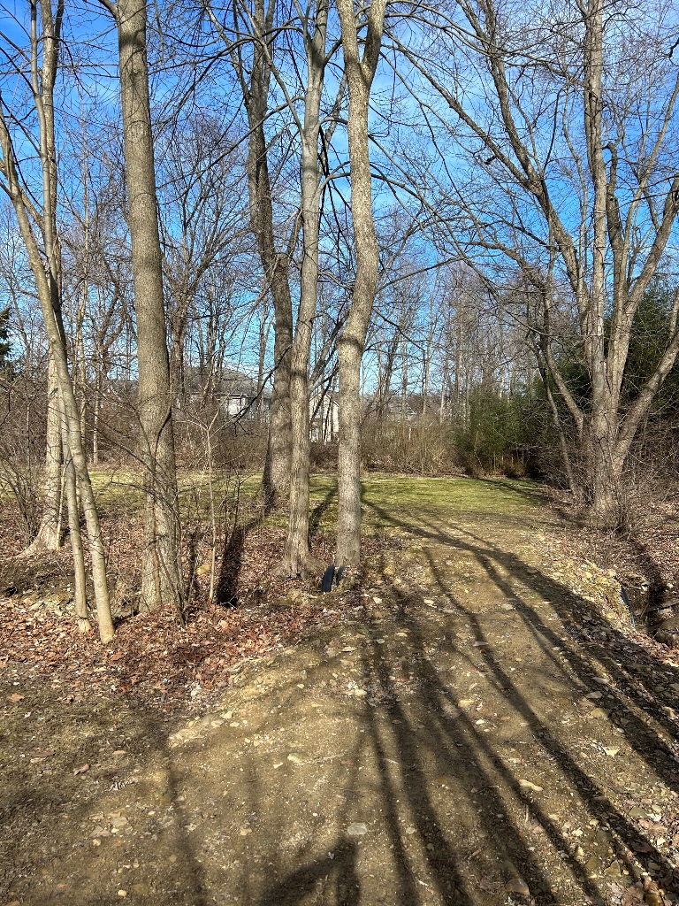 Kopp Absolute Real Estate Auction Gant Realty