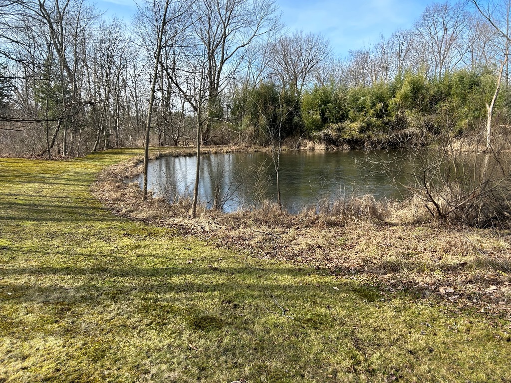 Kopp Absolute Real Estate Auction Gant Realty