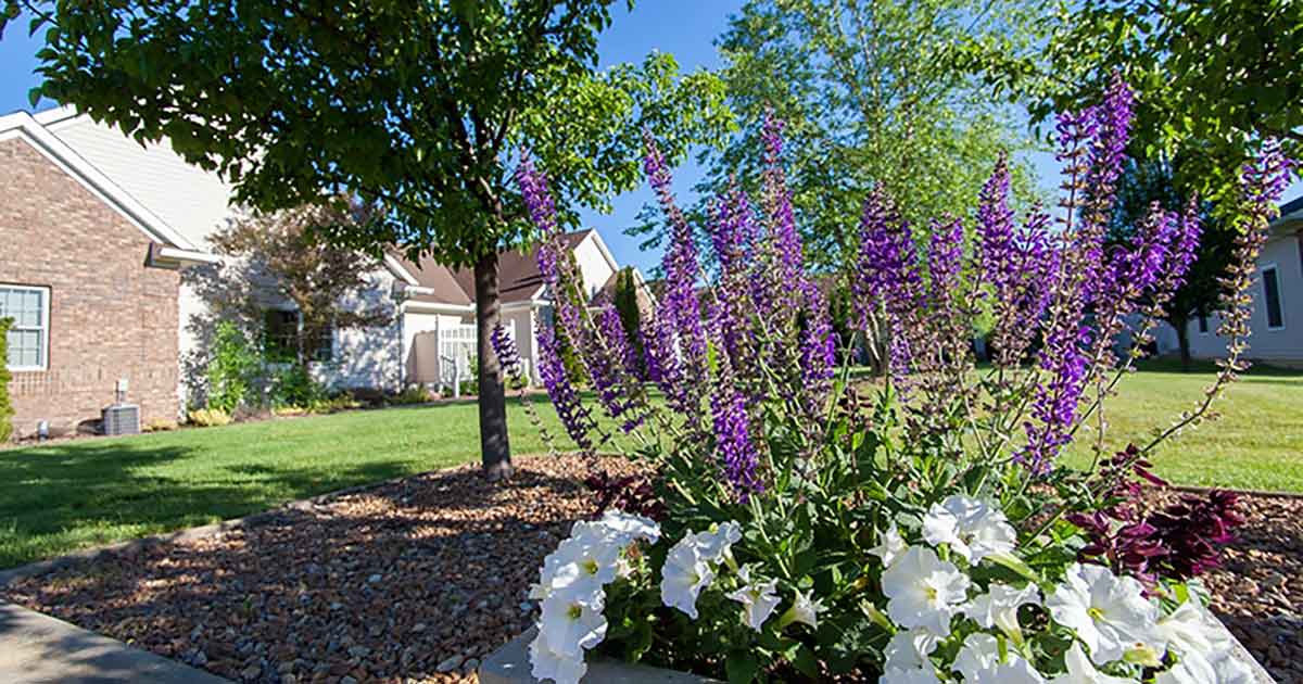 Senior Living in Jackson, MI Guide for Seniors and Adult Children