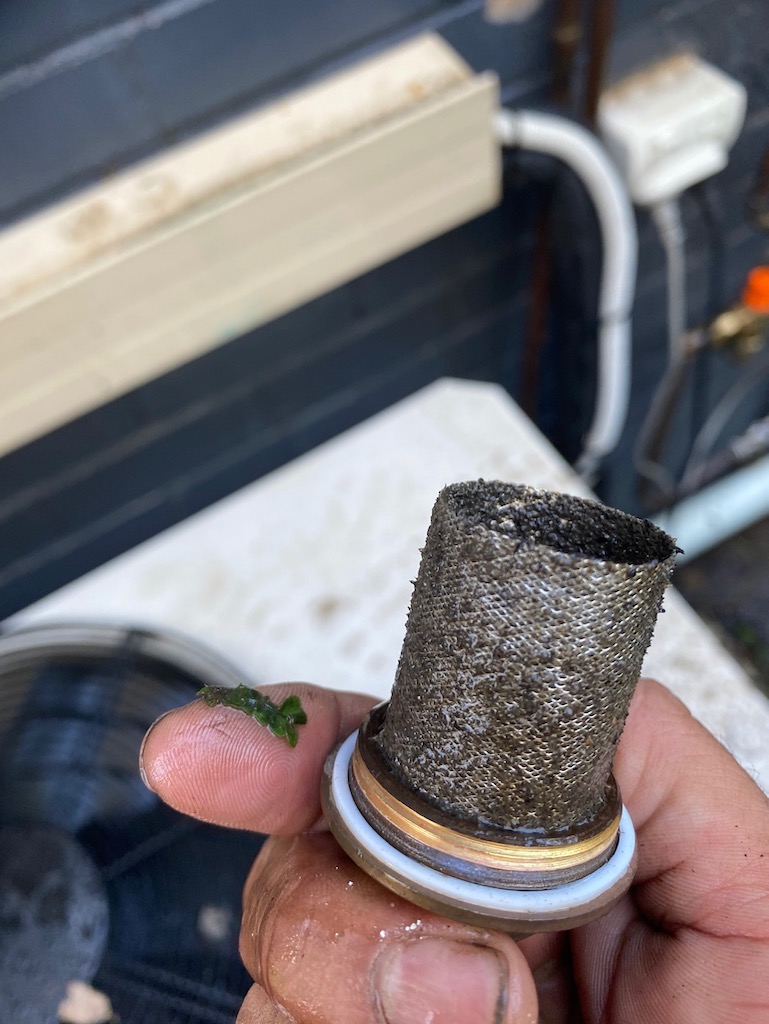 Y strainer filter cleaning Gap Trade Services Plumbing, Drainage