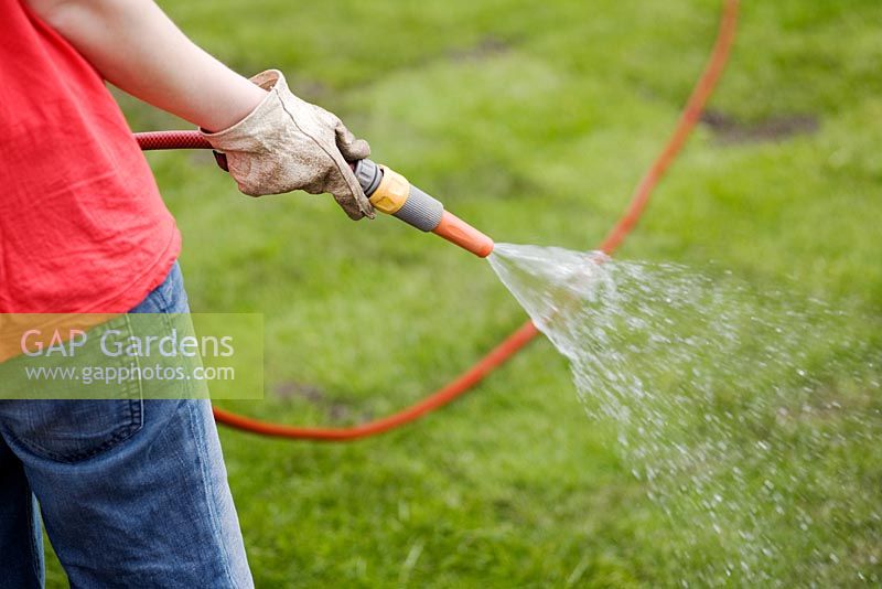 GAP Gardens Woman watering newly laid turf lawn Image No 0104914