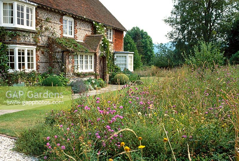 GAP Gardens Wild flower meadow in front of house, East