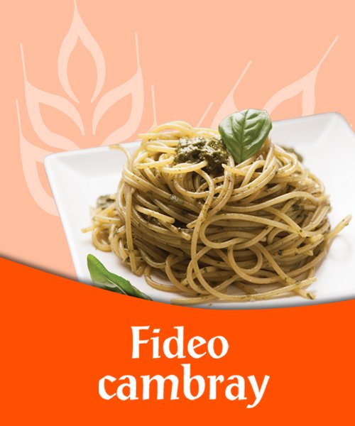 Fideo Cambray GAPSA