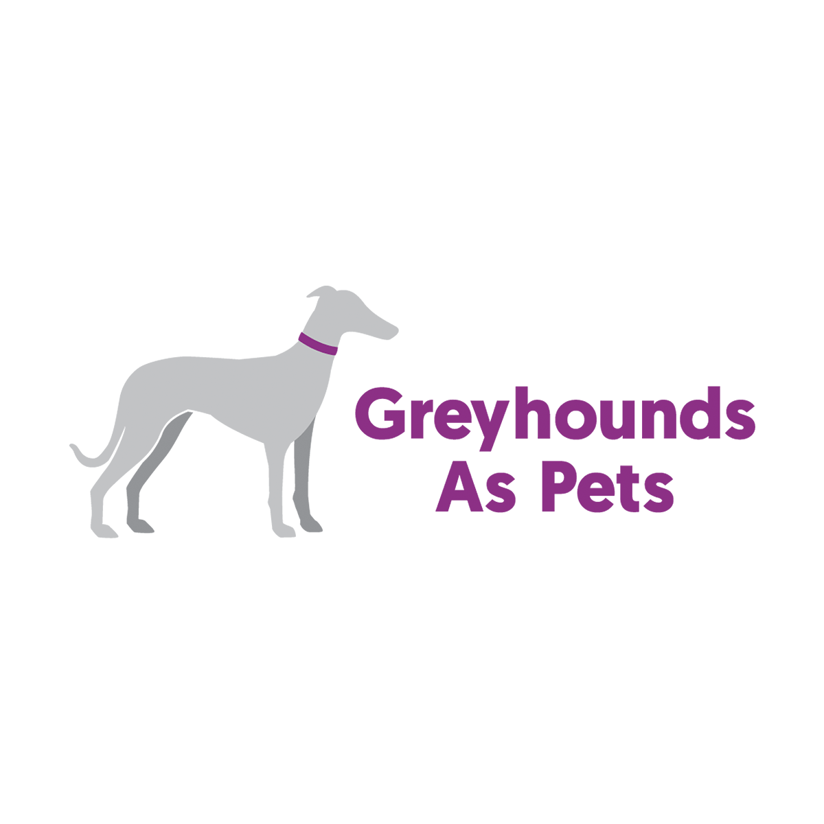 Dog Adoption Adelaide, SA Adopt A Greyhound Greyhounds As Pets