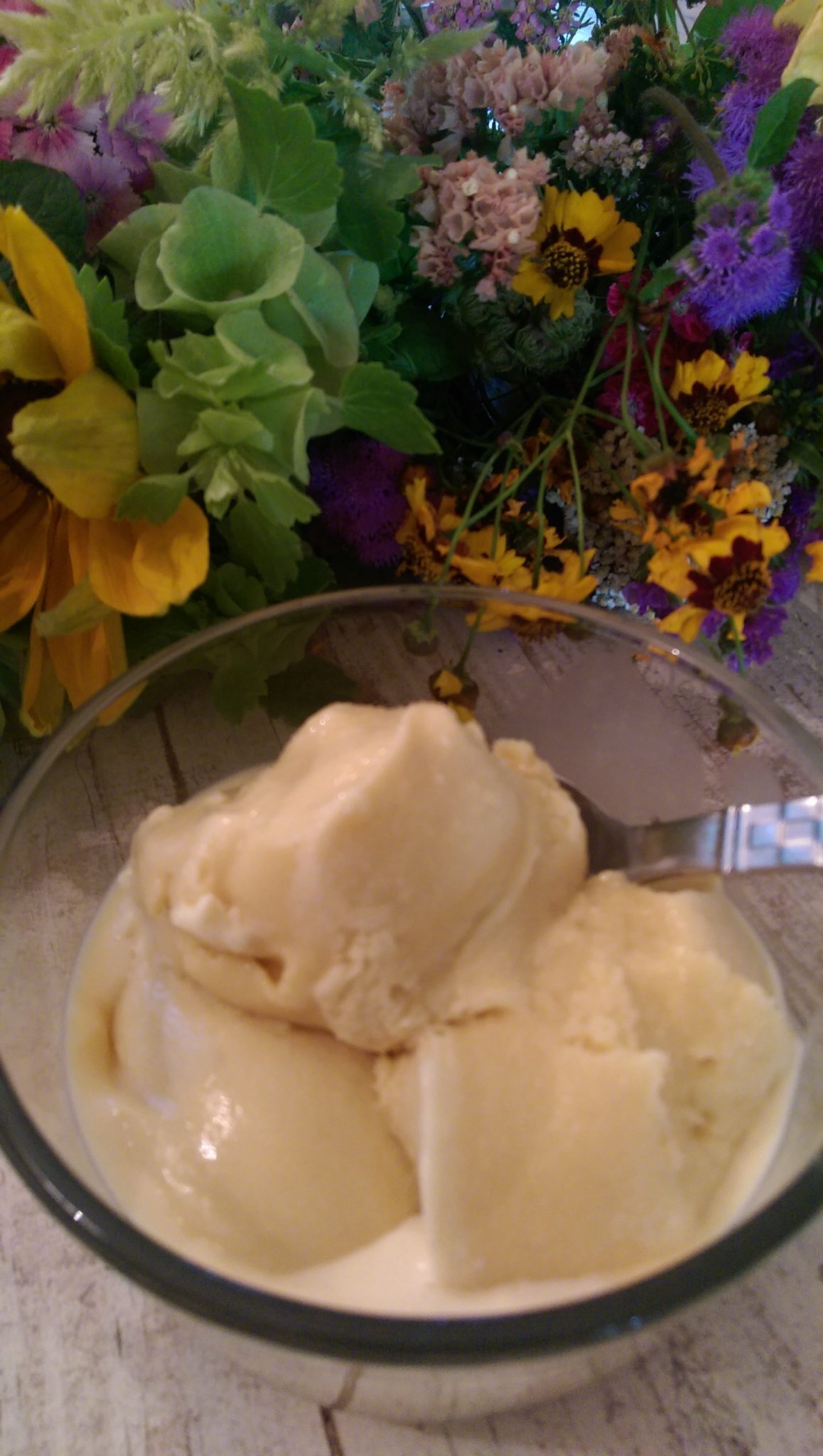 Ice Cream Makers With Compressors GAPS Protocol Help