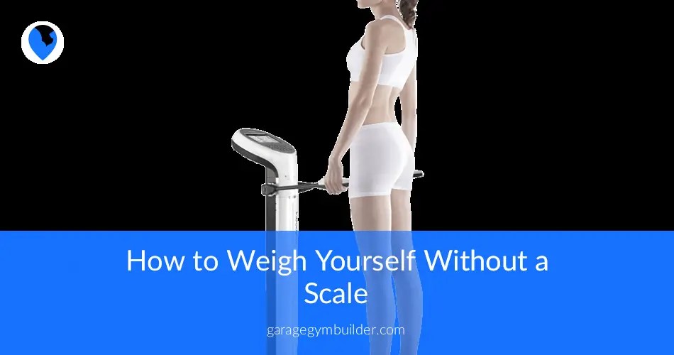 How to Accurately Predict Your Bodyfat Garage Gym Builder