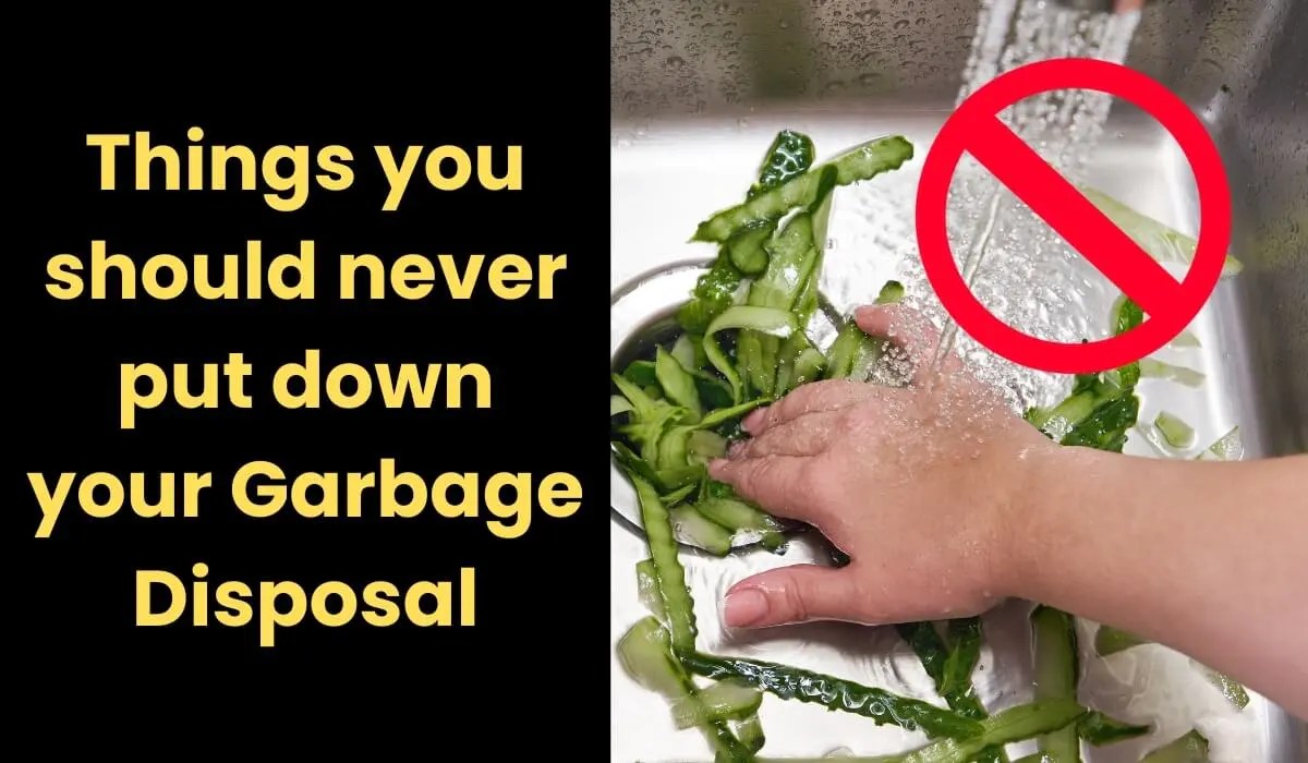 15 Items To Keep Out Of Your Garbage Disposal
