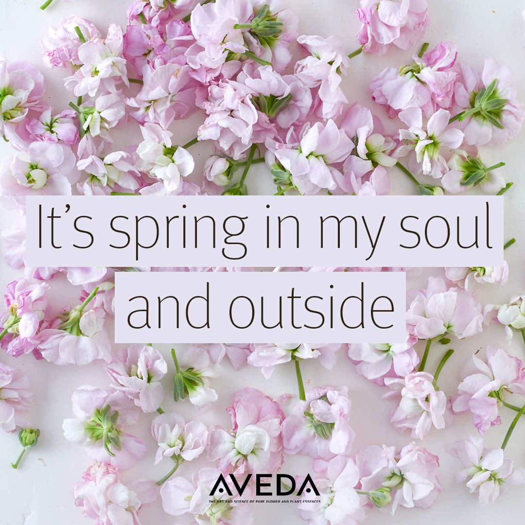 Aveda Salon 78757 Garbo A Salon & Spa in Austin