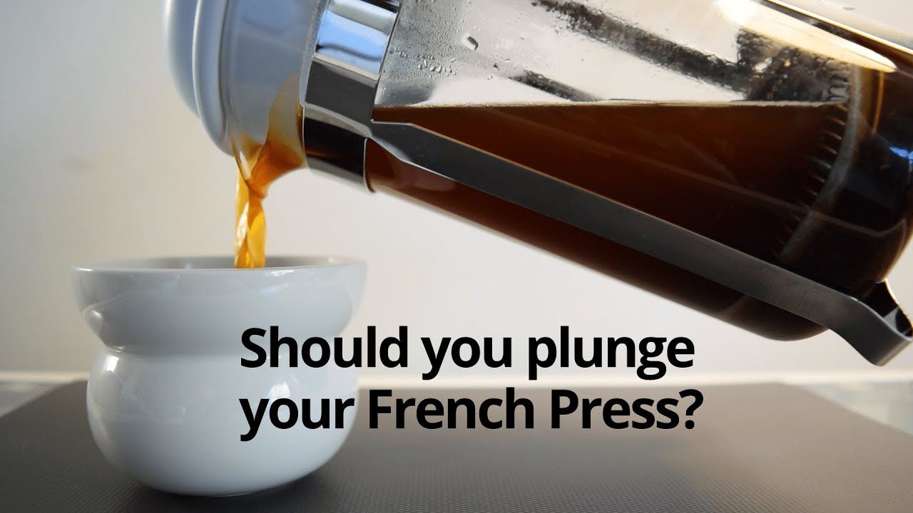 The French Press Plunge A Guide To Brewing Perfect Coffee