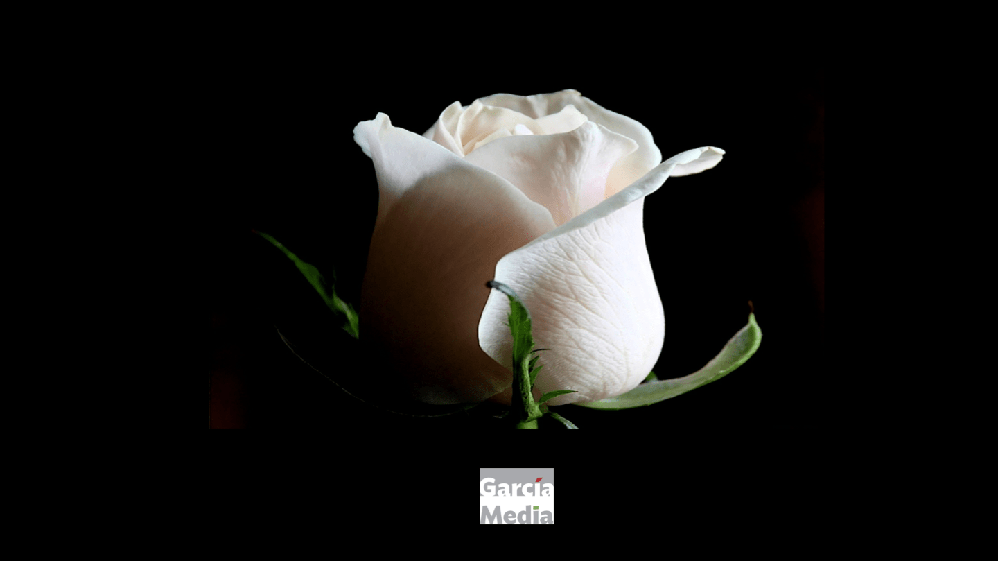 The New York Times’ obit page an exclusive club García Media