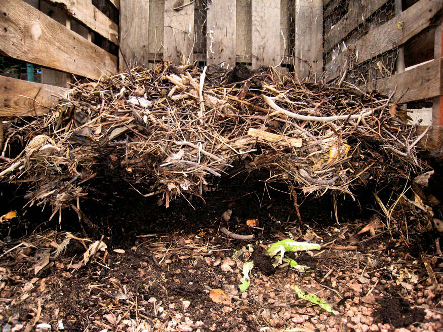Composting Tips What’s Compostable and What’s Not Garden Guide