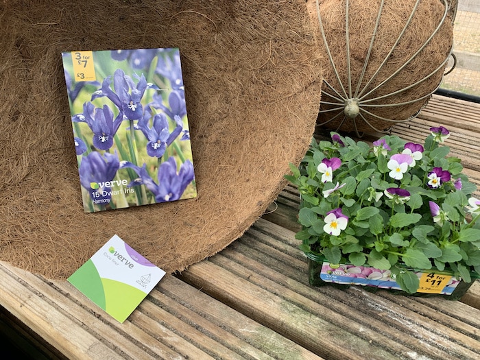 Creating a winter hanging basket with violas GardenAdvice.co.uk