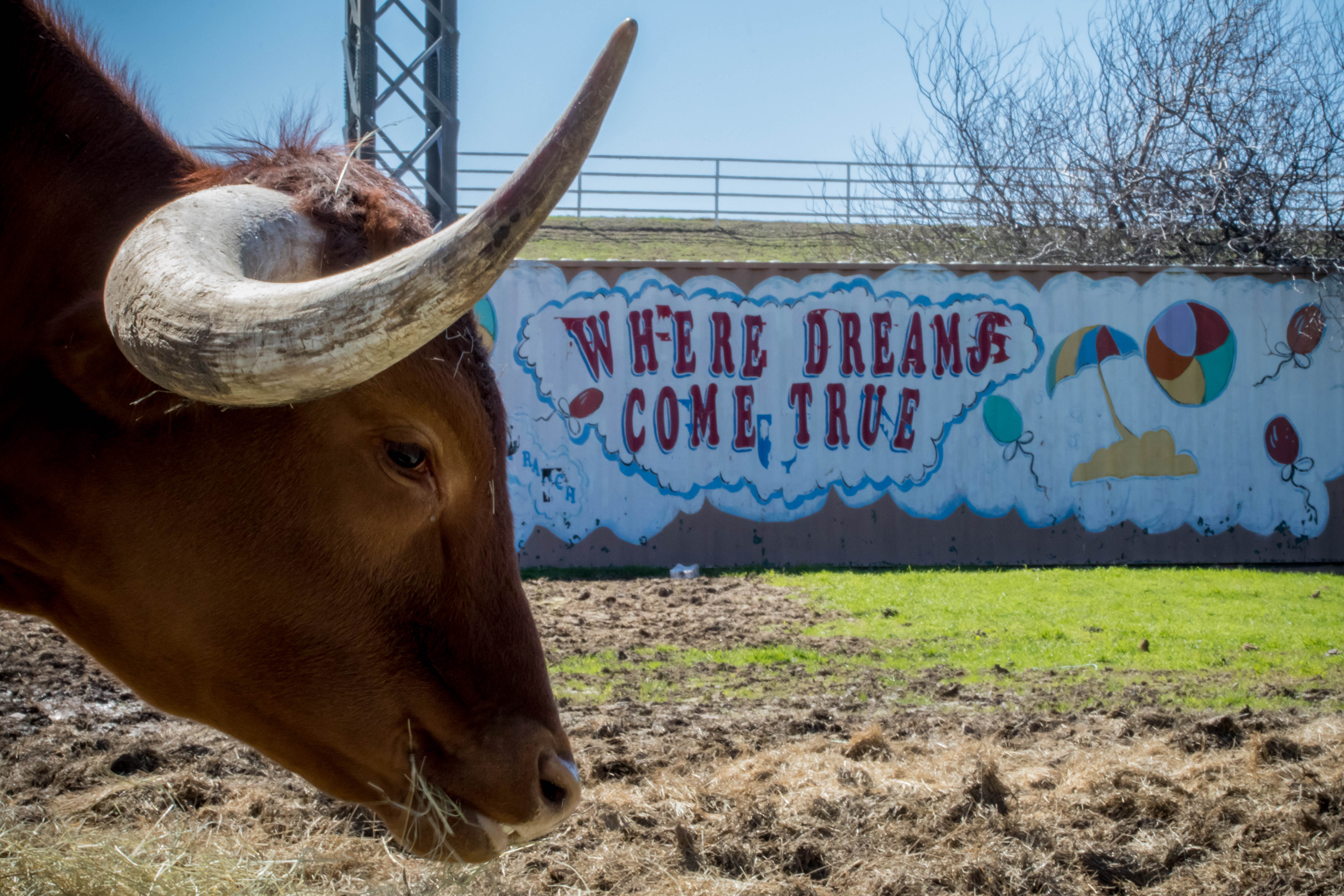 The Strangest Taco Joint in Texas Garden & Gun