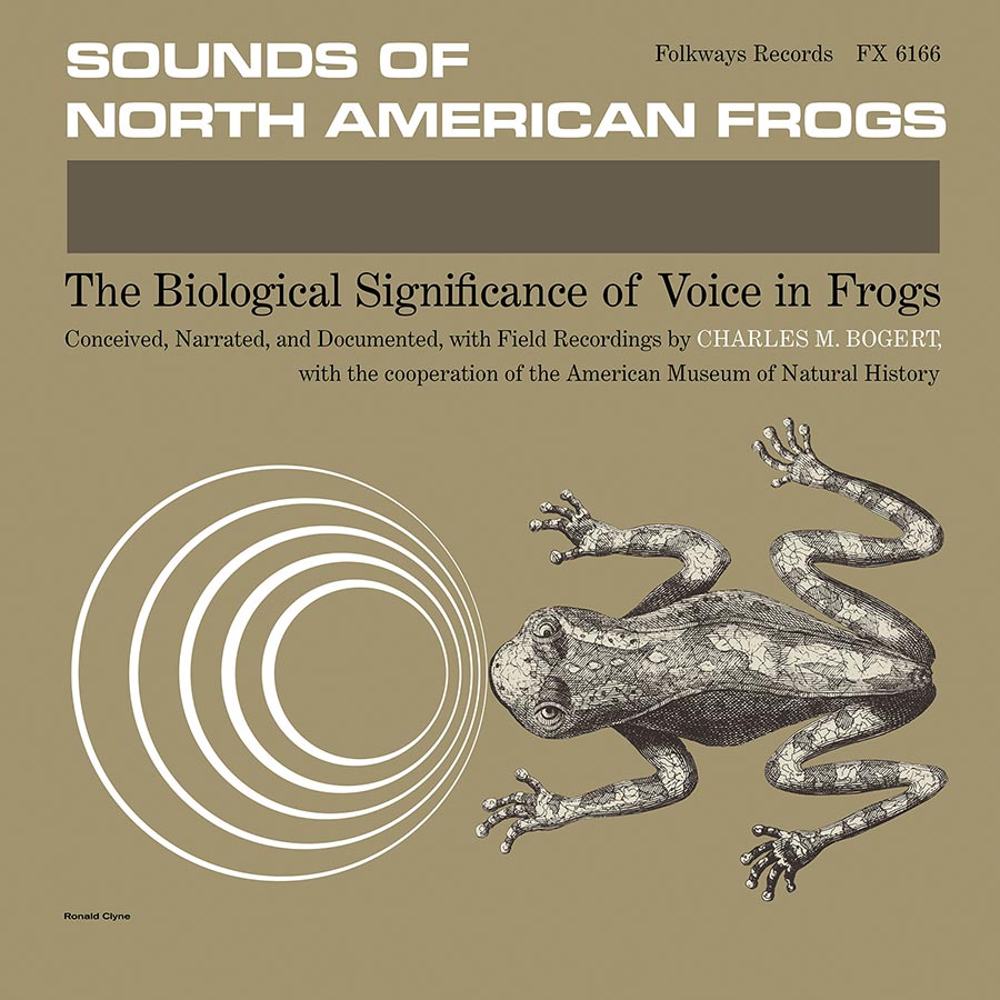 A Surprisingly Popular Album of Frog Noises Comes Bellowing Back