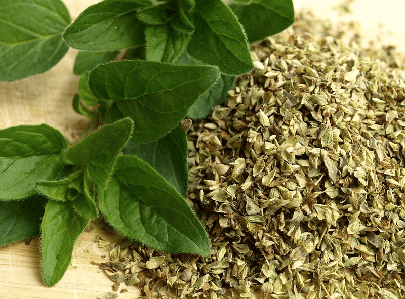How to Dry Oregano for SummerFresh Flavor YearRound Garden and Happy