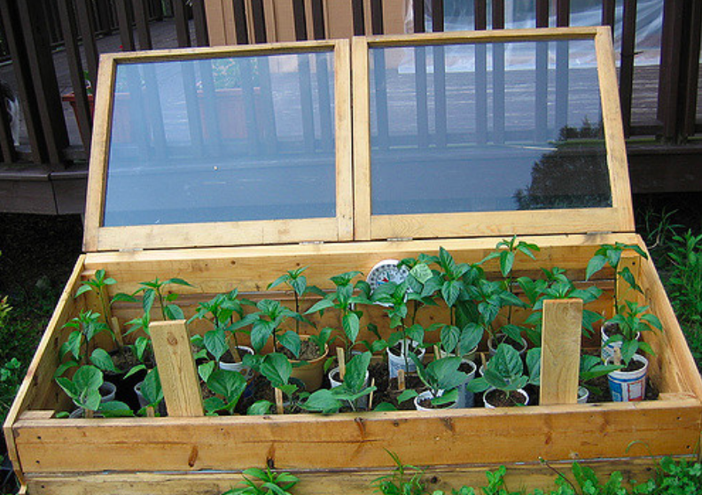 How to Plan a Spectacular Winter Vegetable Garden Now Garden and Happy