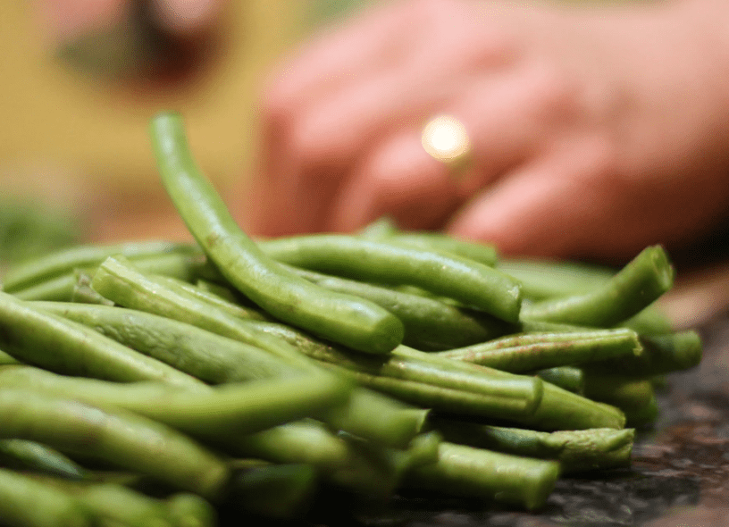 Growing Green Beans Indoors in Wintertime Garden and Happy