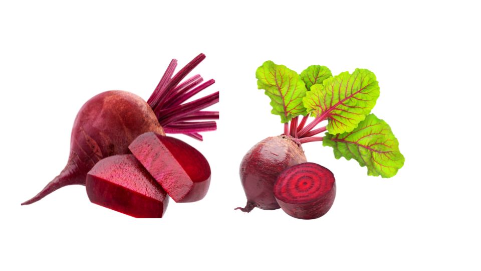 Is Beetroot a Vegetable ? (Explained)