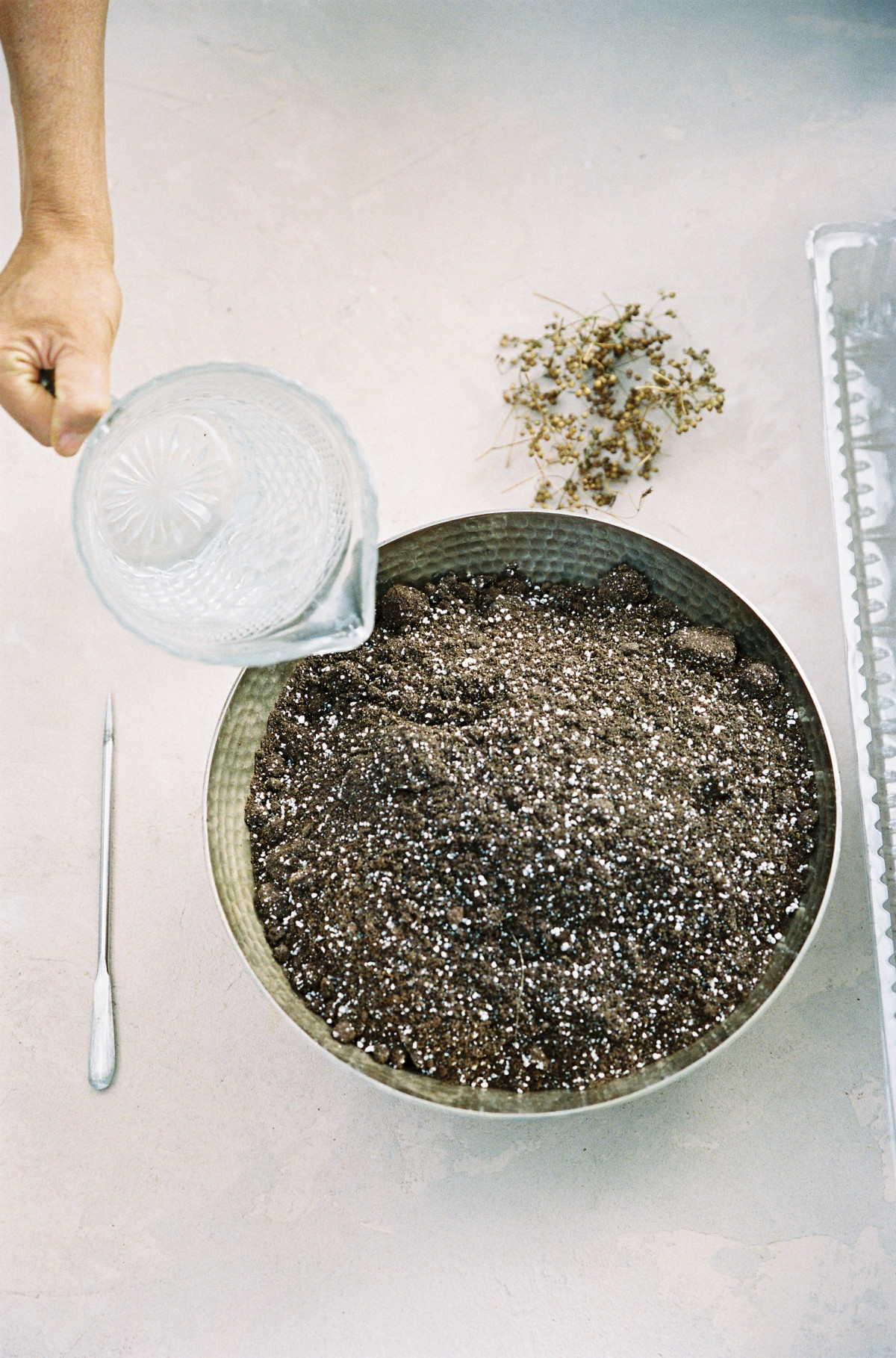 The Best Seed Starting Mix Options • Gardenary