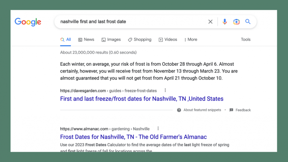 What Can You Plant in January? • Gardenary