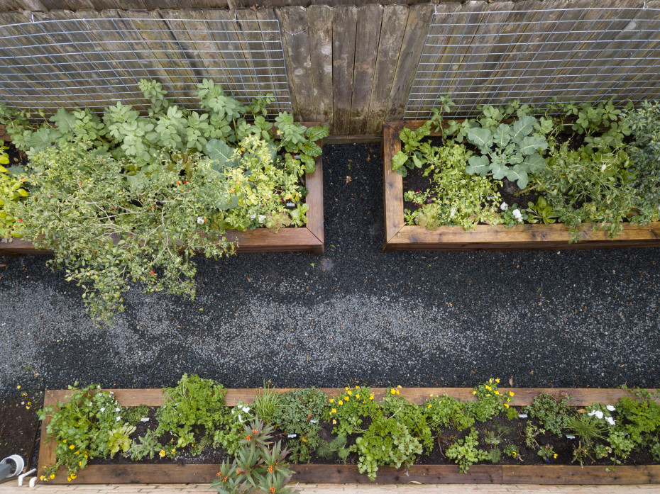 How Much Sun Does a Vegetable Garden Need? • Gardenary
