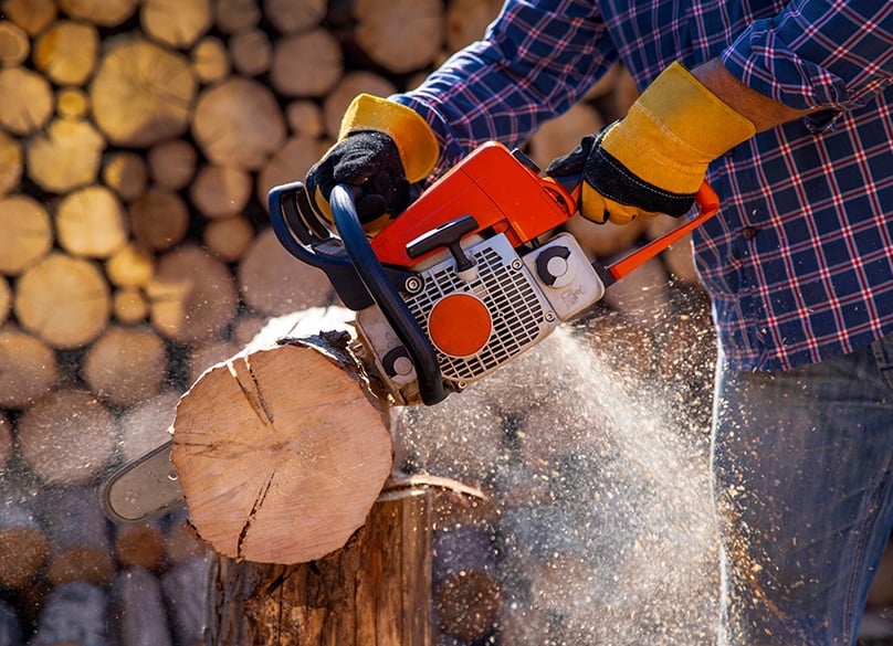 Best Electric Chainsaws Reviews 2023 Complete Buyer's Guide