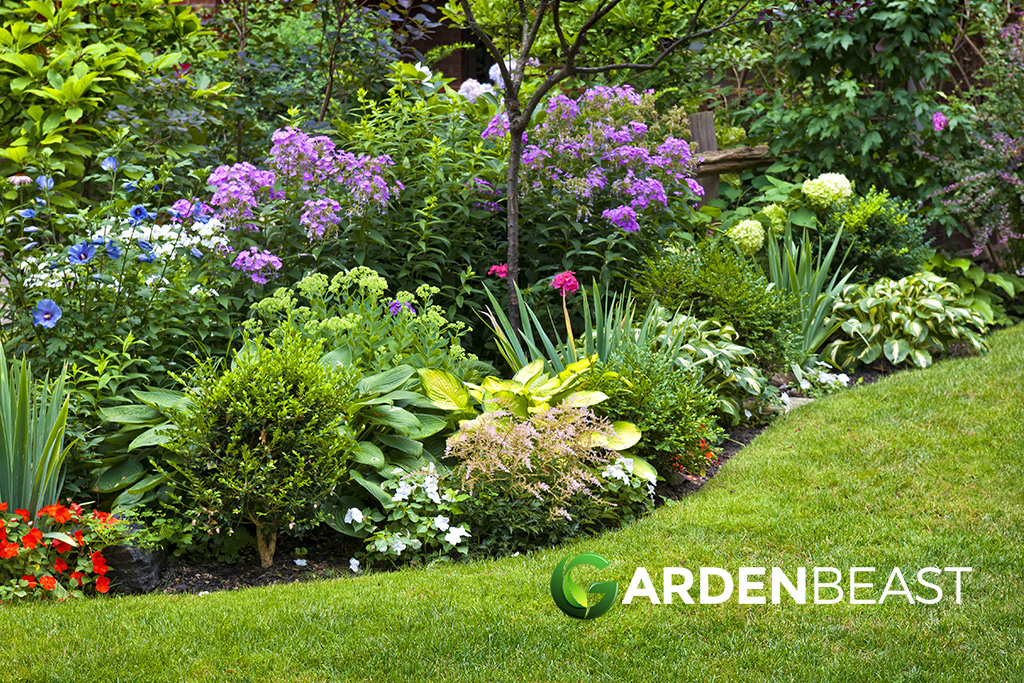 15 Fragrant Flowers To Make Your Garden Smell Amazing