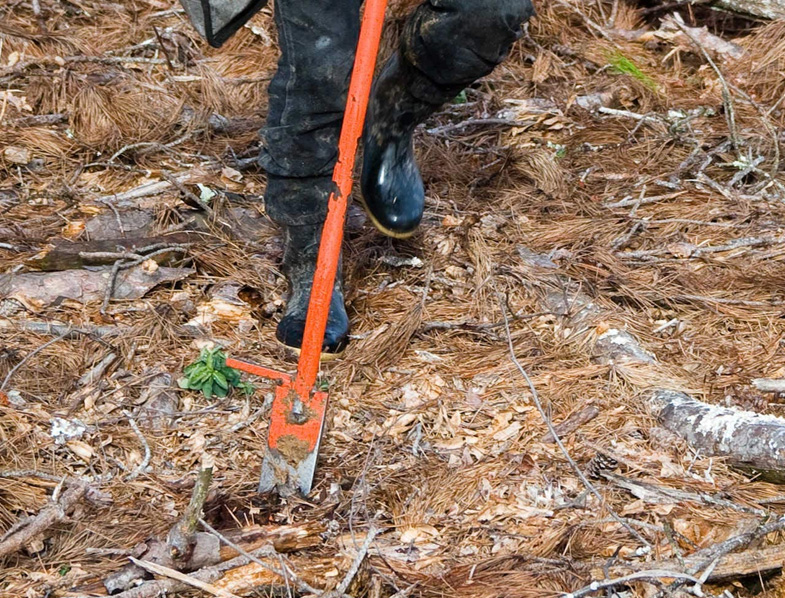 What Are The Different Types of Shovels & Their Uses?