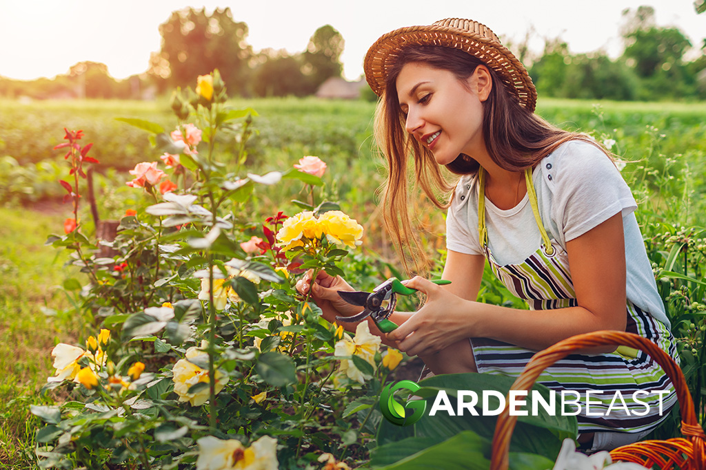 What is a Cutting Garden & How To Plan Your Own?