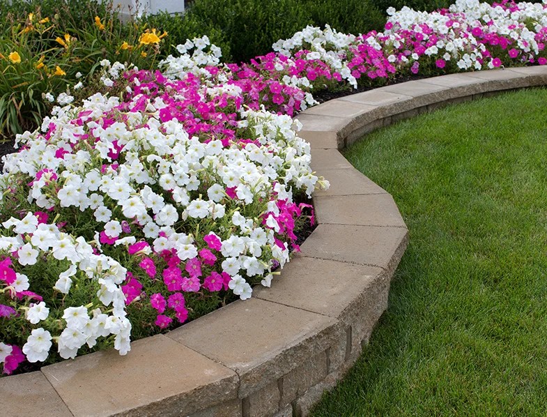 How to Make a Flower Bed? Everything You Need to Know