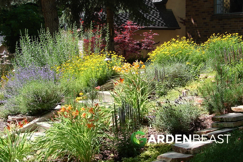 What Is Xeriscaping? Here’s Everything You Need to Know
