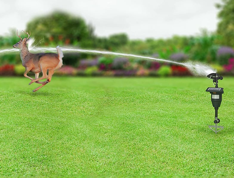 Best Deer Repellent Reviews 2024 Complete Buyer's Guide