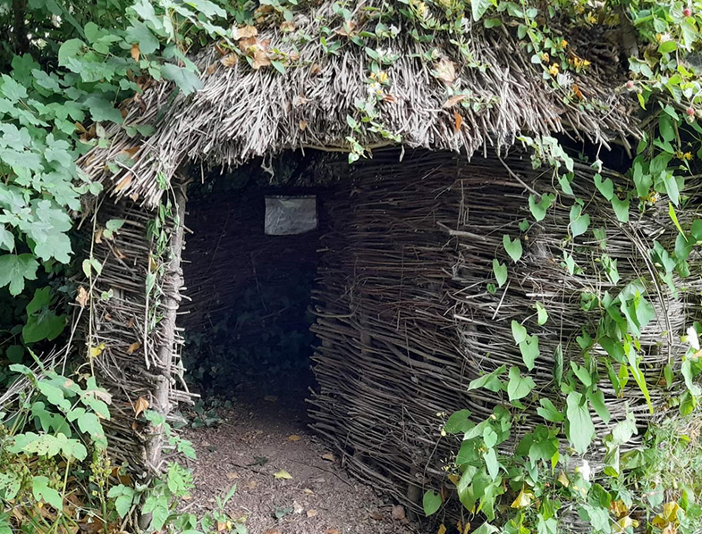 Is Urine Good for Plants? Let's Look at Using Urine as a Plant Fertilizer