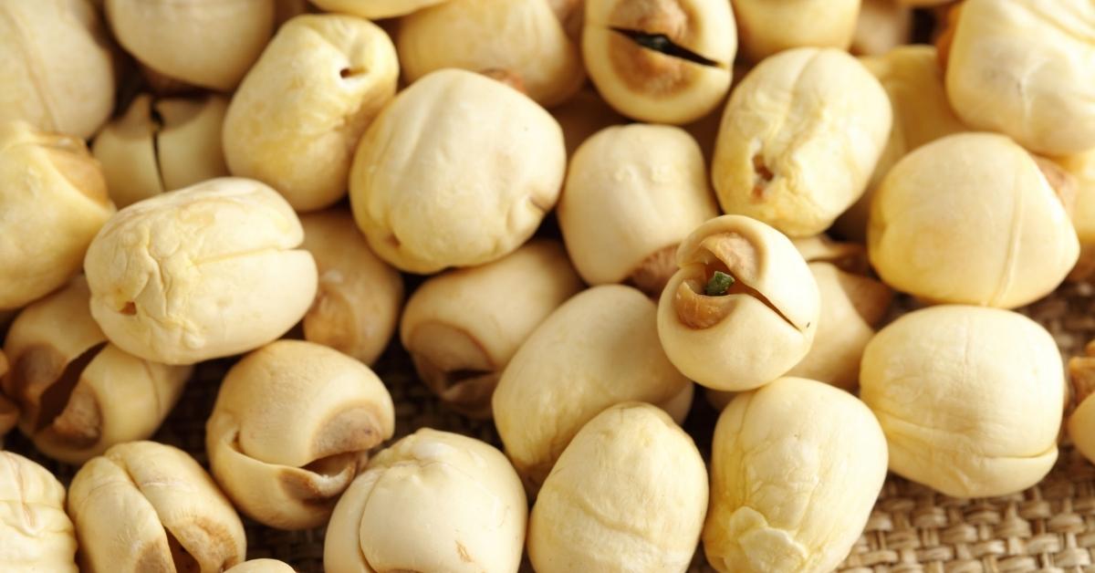 How To Grow Lotus Flower From Seeds Easily At Home?Gardenchee