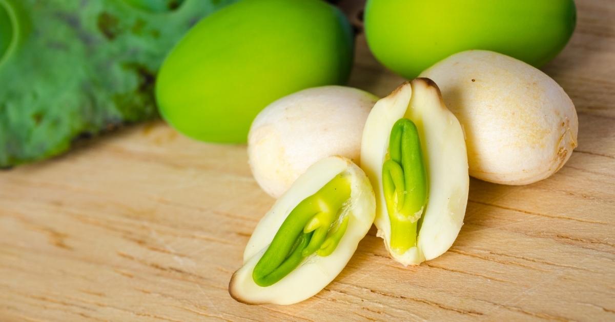 How To Grow Lotus Flower From Seeds Easily At Home?Gardenchee