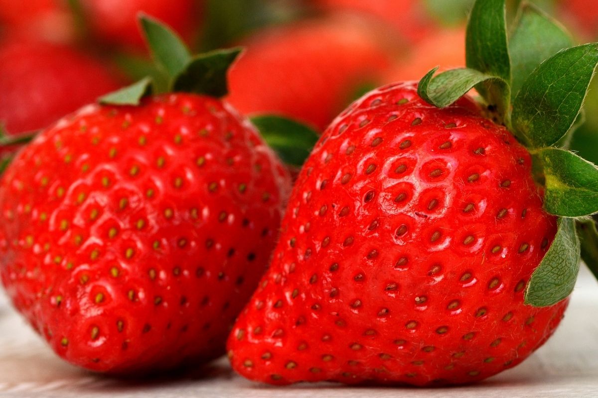 Strawberry Fruits Health Benefits, Varieties, And Growing Tips