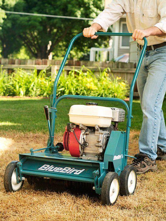Power Rake vs Dethatcher Which Tool is Best for Your Lawn
