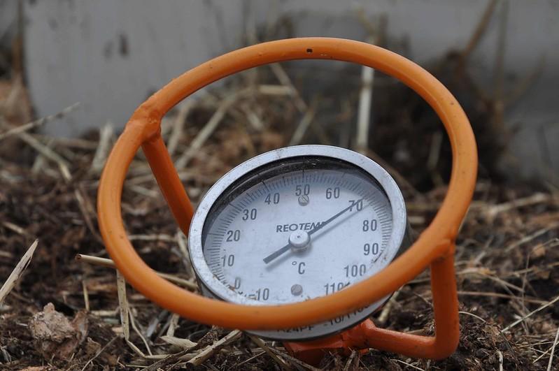 How Cold Is Too Cold for Grass Seeds? Get Complete Guide