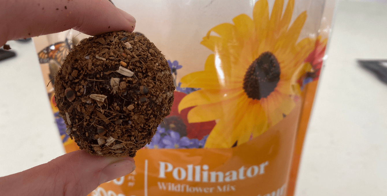 Seed Bombs An Easy Guide Garden Culture Magazine