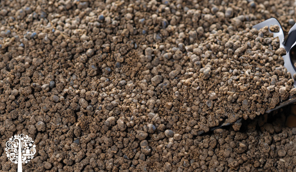 Bat Guano The Superfood With A Bad Rap GCM
