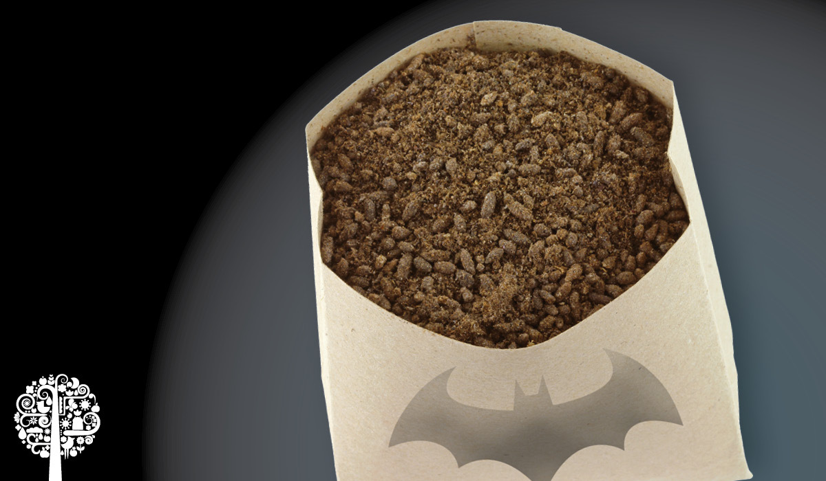 Bat Guano The Superfood With A Bad Rap GCM