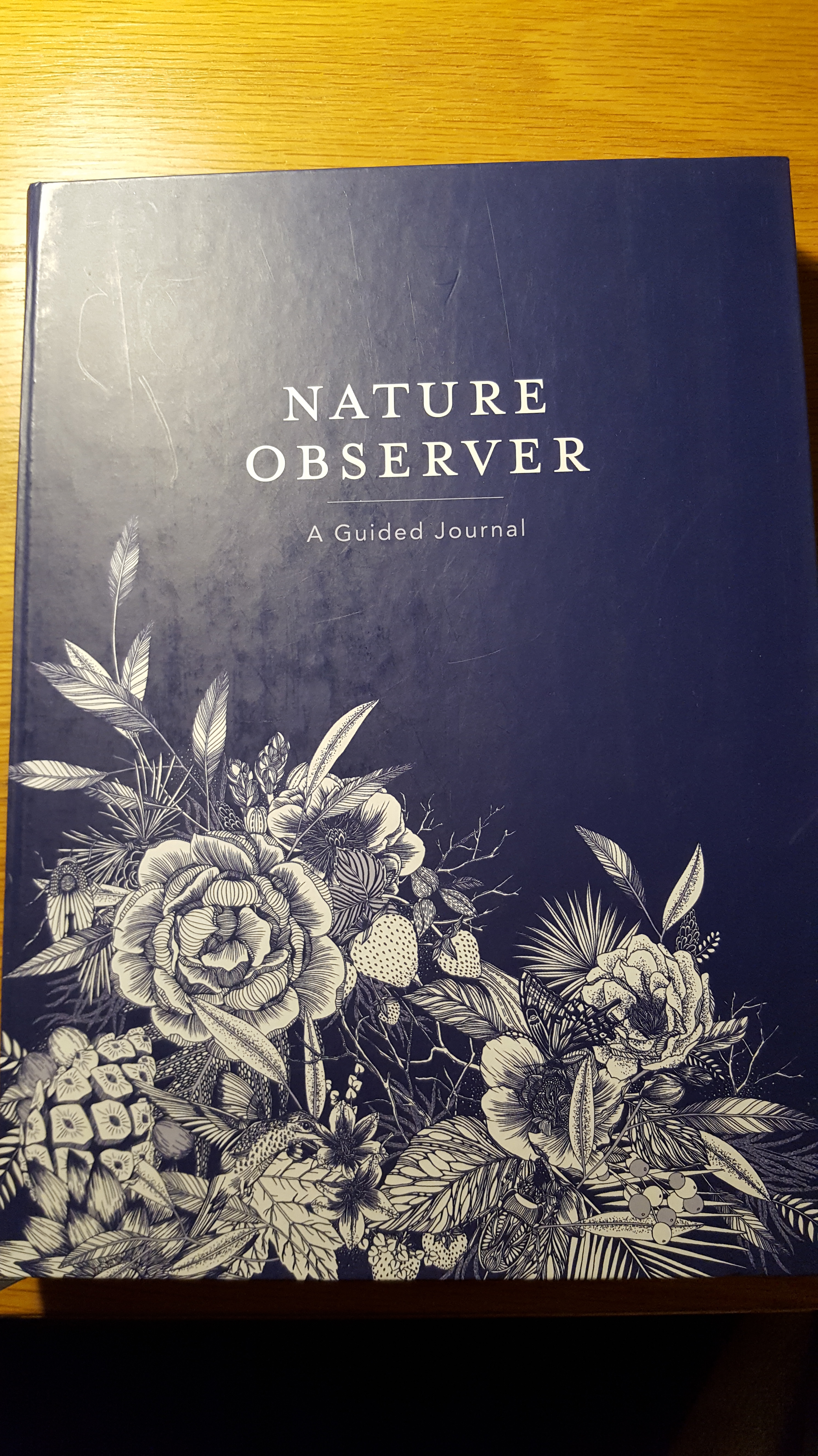 Book ReviewA Guided Nature Journal Gardendaze