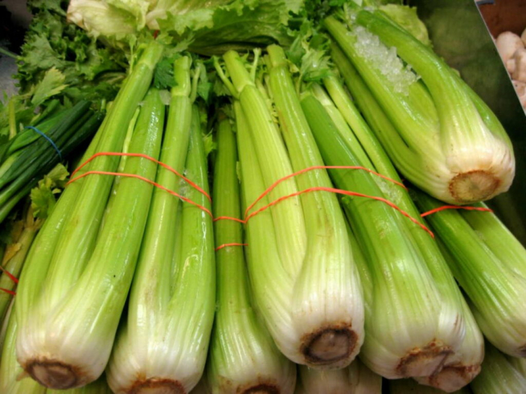 Celery (Apium Graveolens) Growing Soup Seasoning In Your Garden