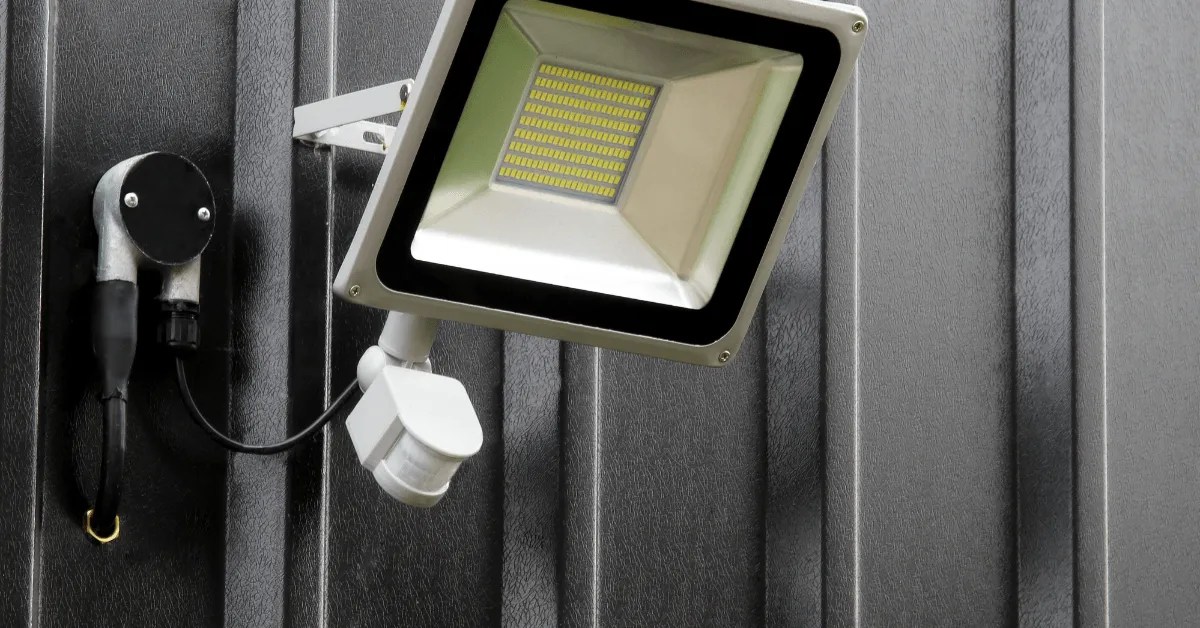 How to Stop Foxes from Digging in Your Garden Garden Doctor