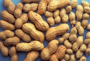 How To Grow Peanuts GardenDrum
