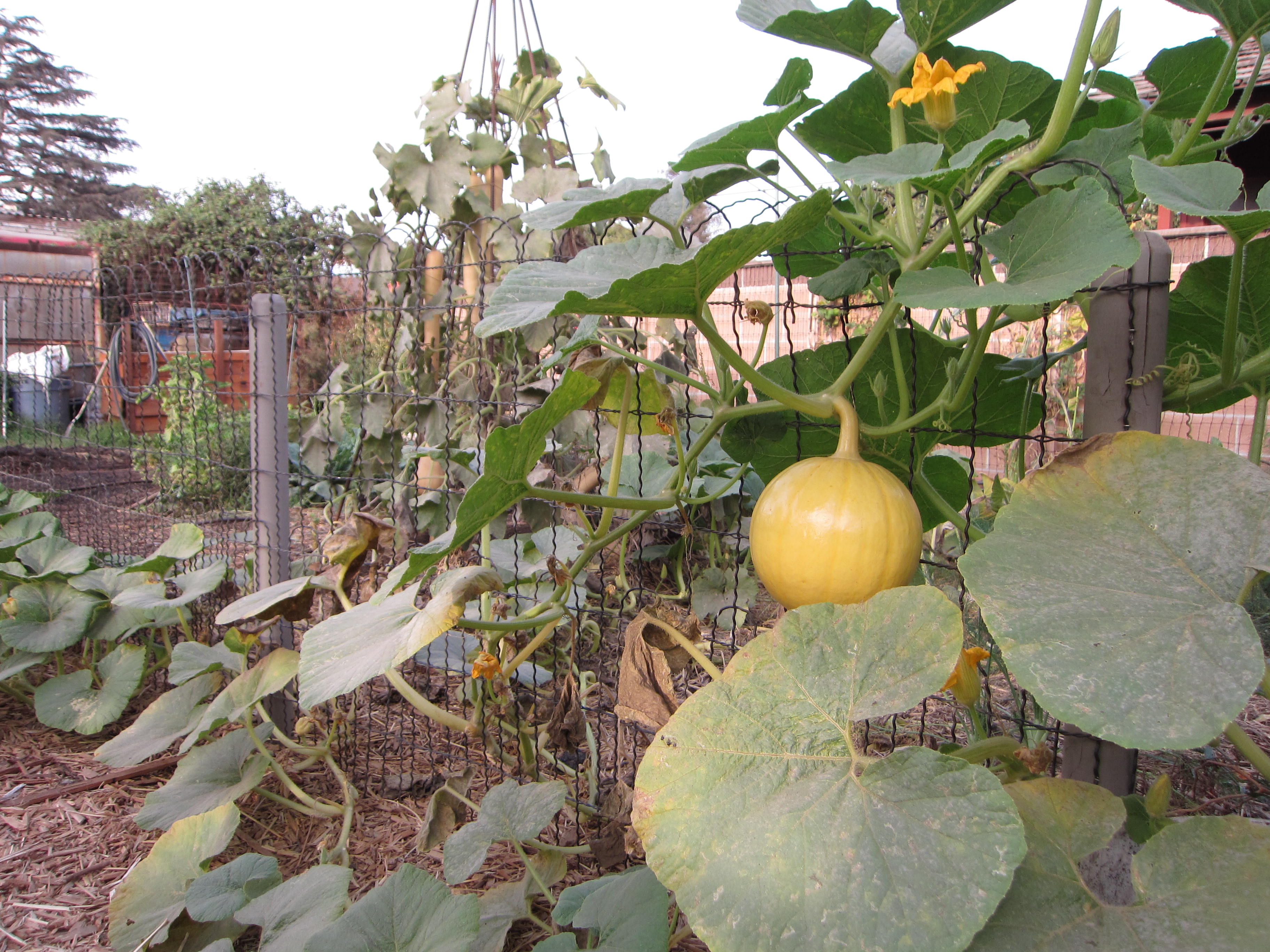 Field Trip MoonWater Farm Gardenerd