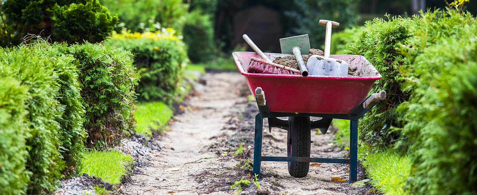 Gardeners Bickley BR1 Prices Everyone Can Afford