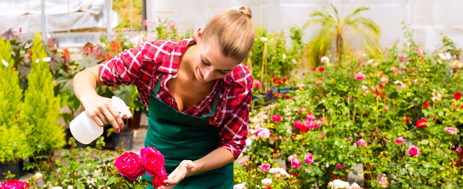 Gardeners Hither Green SE13 Outstandingly Low Prices